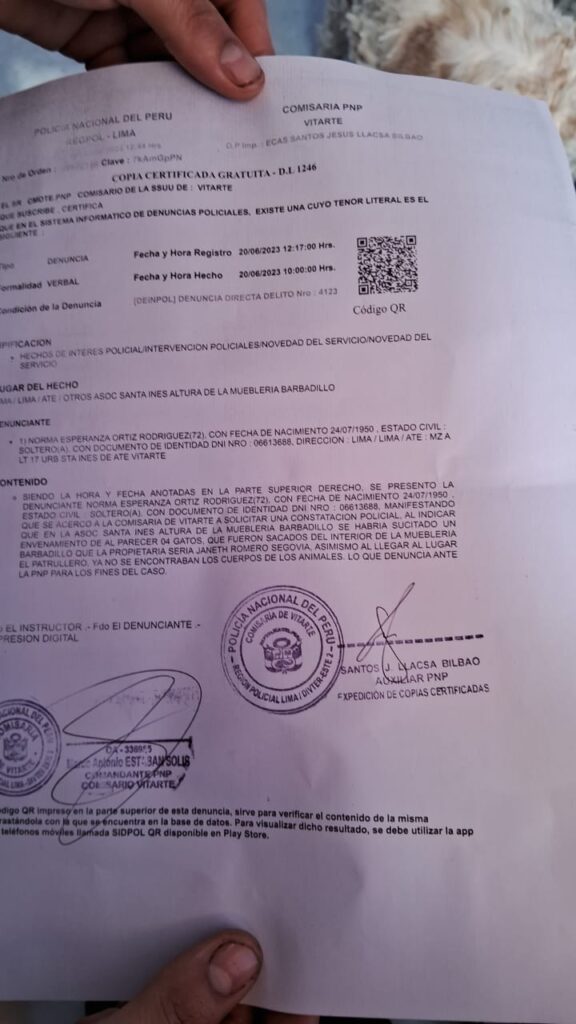 Ate: Matan decenas de gatos en Feria Expomuebles de Barbadillo 24 denuncia policial en contra de janeth Romero segovia ate