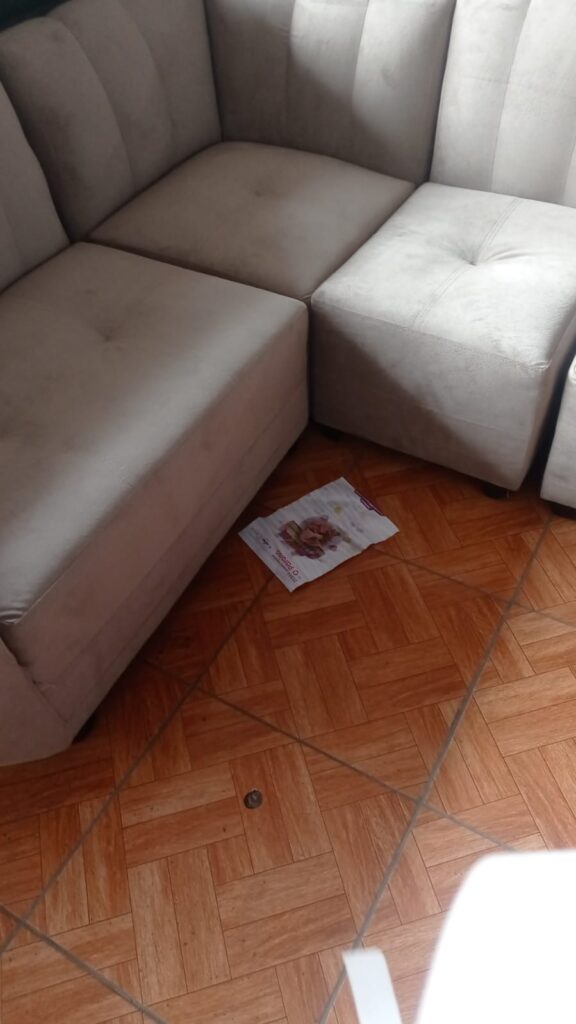 Ate: Matan decenas de gatos en Feria Expomuebles de Barbadillo 22 veneno en ate