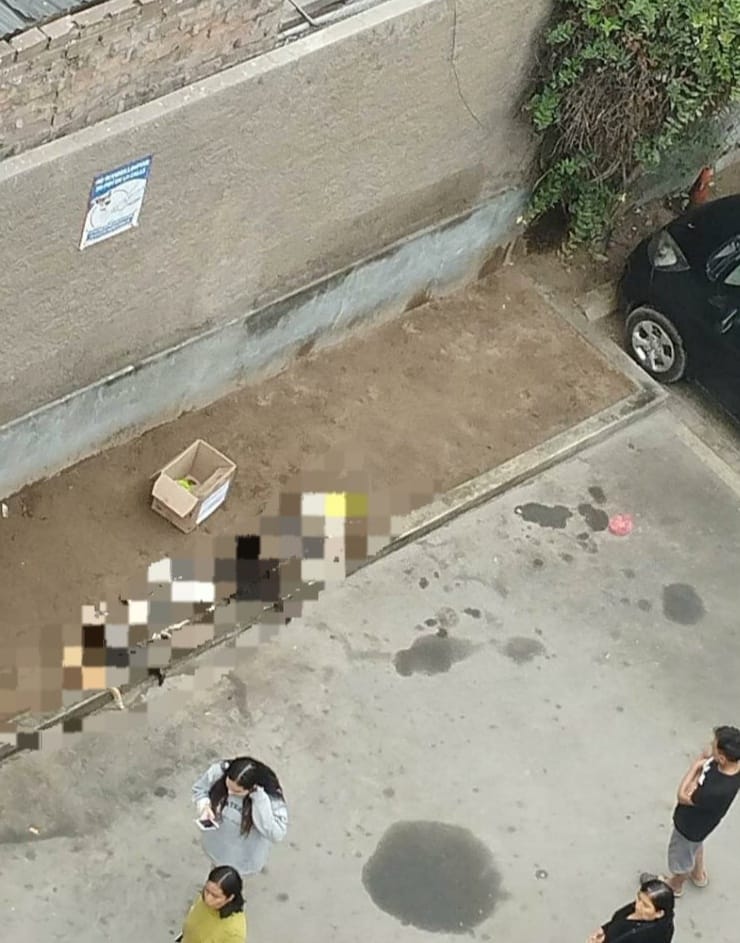 Envenenan a gatitos en condominio Villa Santa Clara en Ate 39 villa santa clara ate gatos envenenados